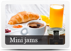 μαρμελάδες mini jams